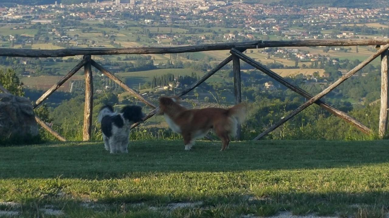 Agriturismo Countryhouse Le Giare Gubbio Eksteriør bilde