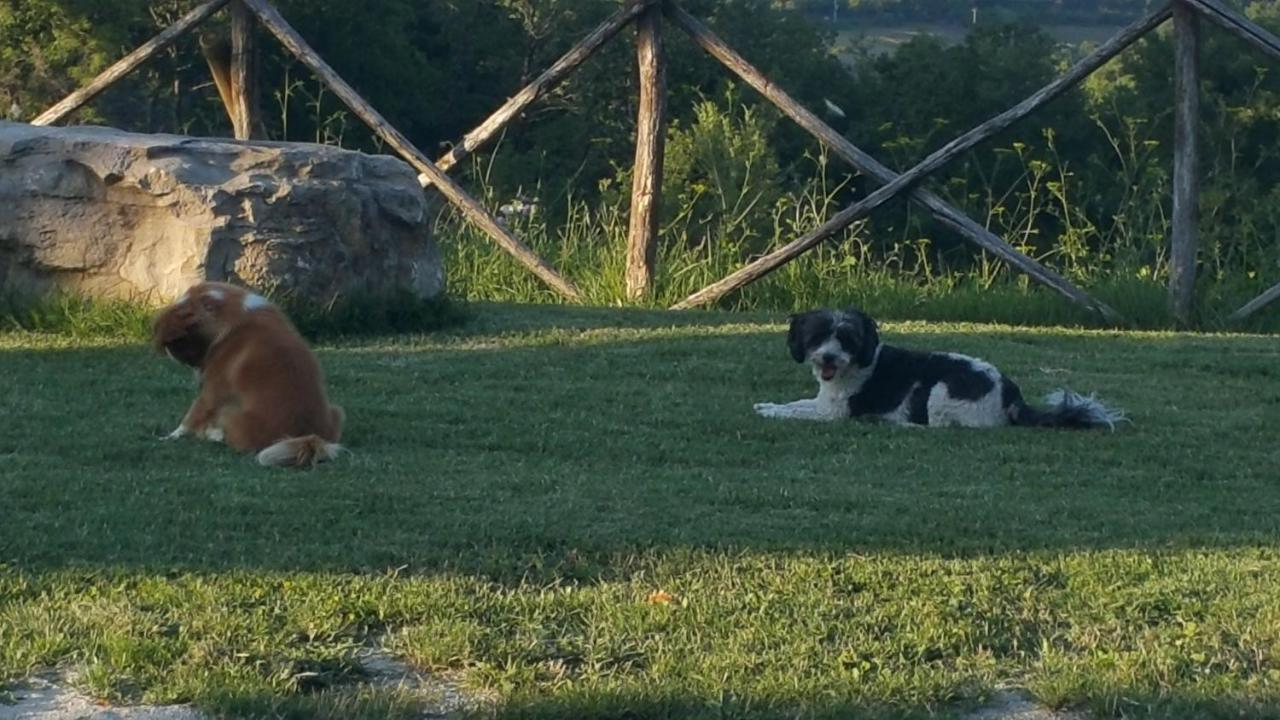 Agriturismo Countryhouse Le Giare Gubbio Eksteriør bilde